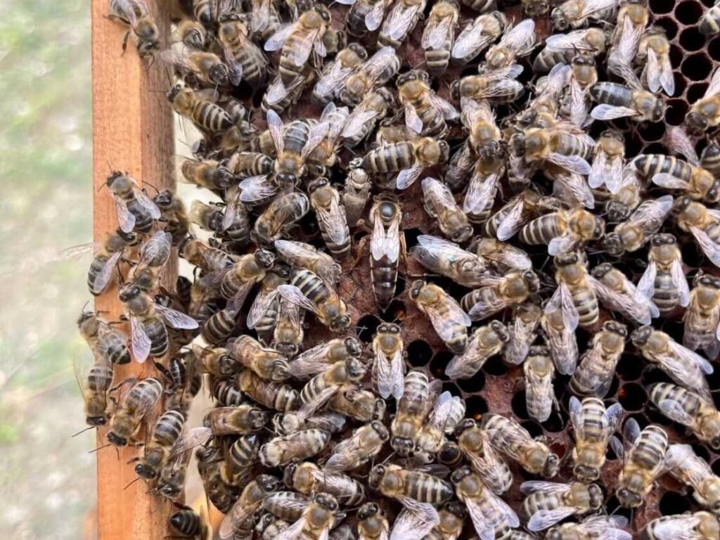 img 3494 scaled (1) (1) img 3494 scaled (1) (1)